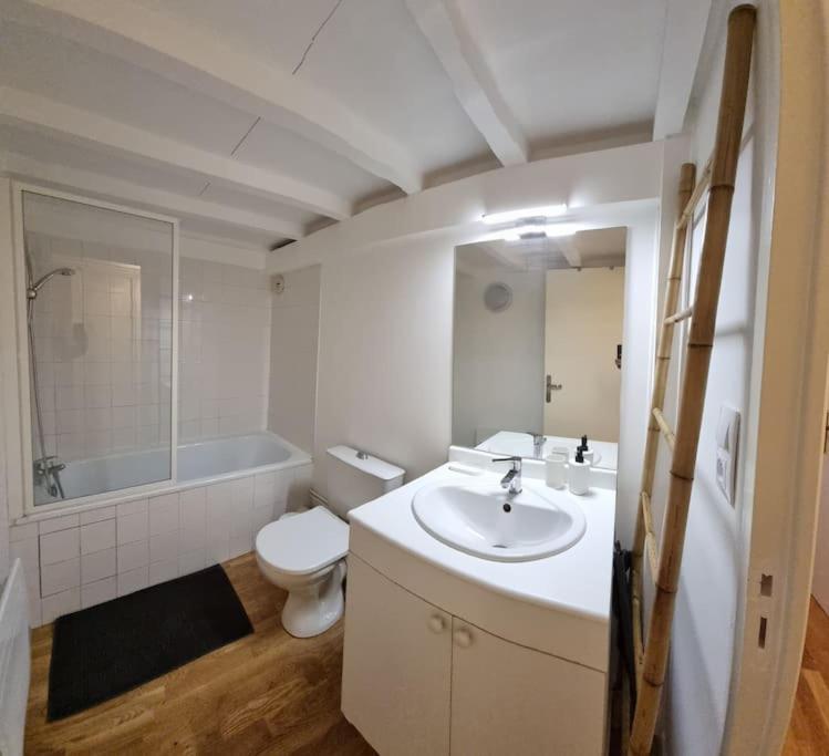 T2 Charmant - Hypercentre - Quai De Garonne - Wifi Διαμέρισμα Τουλούζη Εξωτερικό φωτογραφία